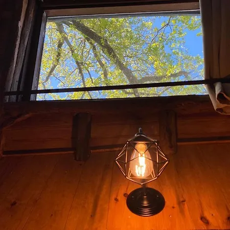 Suspendue Dans Les Arbres Chalet