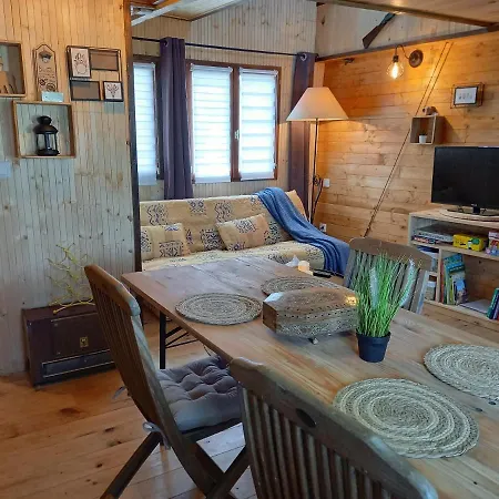 Suspendue Dans Les Arbres