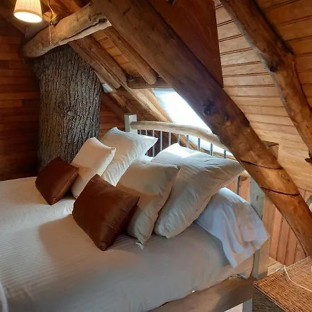Chalet Suspendue Dans Les Arbres