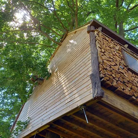 Suspendue Dans Les Arbres Chalet *