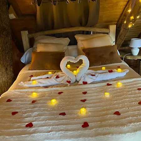 샬레 Suspendue Dans Les Arbres