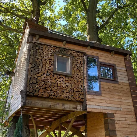 Suspendue Dans Les Arbres Chalet *