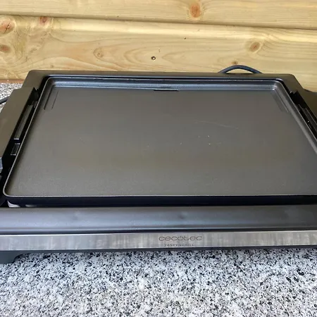 Suspendue Dans Les Arbres