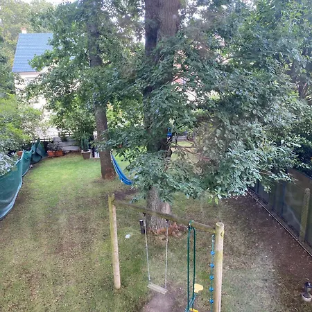 Suspendue Dans Les Arbres