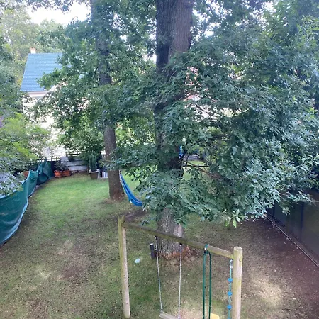 Chalet Suspendue Dans Les Arbres